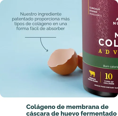 Vista 8 de Ancient Nutrition Péptidos de colágeno hidrolizados avanzados, proteína en polvo magra con probióticos y vitamina C, canela, para mujeres y hombres