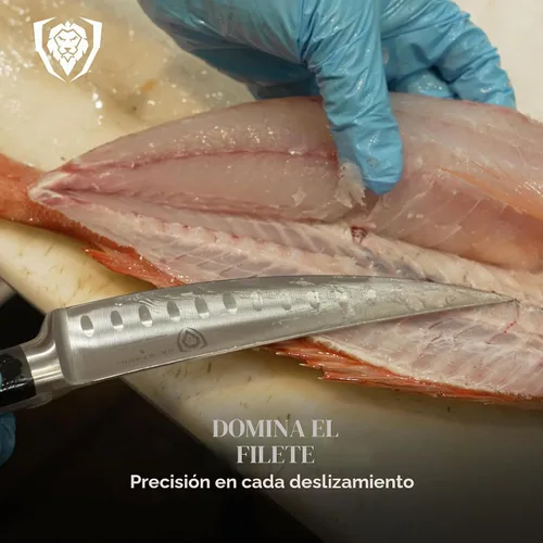 Vista 5 de Dalstrong Cuchillo de filete de 6" - Acero alemán forjado HC