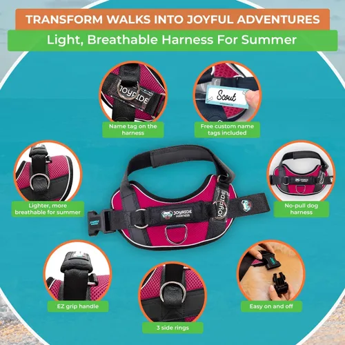 Vista 27 de Joyride Harness Chaleco de malla de verano – Arnés para perro 2.0 sin tirones – Chaleco ajustable y transpirable – Etiqueta de nombre personalizada