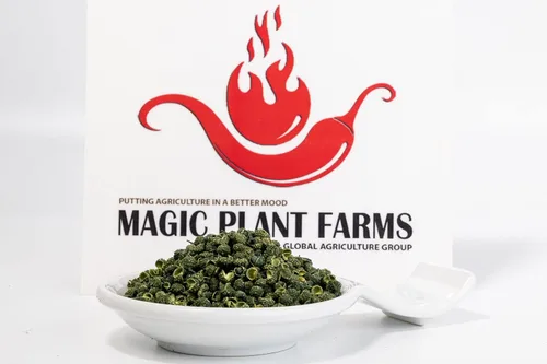 Vista 2 de Fiery Farms Green Japanese Sancho Peppercorn Pods – 2.2 lbs a granel – Pimientos enteros secos Emocionante especia cítrica hormigueo en la boca