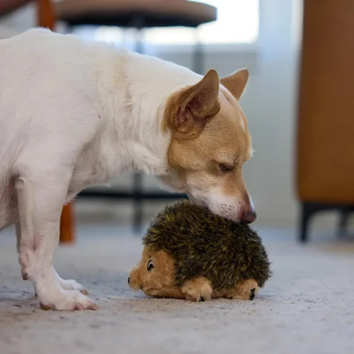 Vista 5 de Outward Hound - Juguete de peluche Hedgehogz para perro, tamaño S