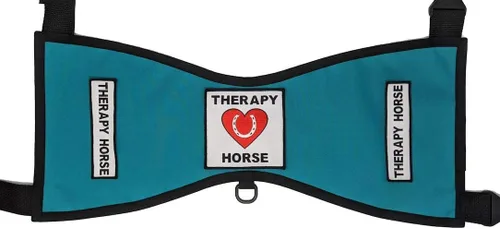 Vista 4 de Chaleco terapéutico para caballo #1 – Deluxe (tamaño 1 (altura 18"-24" en cruz) W, negro)