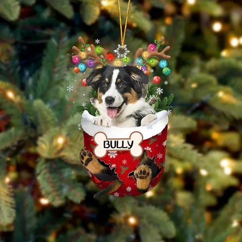 Vista 159 de IZI POD Affenpinscher Adorno de Navidad personalizado para perro, adorno de bolsillo de nieve para perro para árbol de Navidad, adorno acrílico