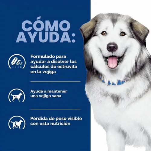 Vista 4 de Hill's Prescription Diet C/D Multicare + alimento seco para perros