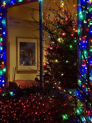Vista 7 de Twinkle Star Luces de Navidad para Exteriores a Batería 50 LED Mini Cadena de Luces con 8 Modos, 16 pies Luces de Hadas Impermeables para Jardín