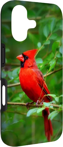 Vista 3 de Hermosa cardenal pájaro rojo escena de la naturaleza caso para iPhone 17
