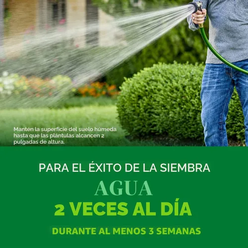 Vista 5 de Mezcla de semillas de césped Scotts Turf Builder Rapid Grass Sun & Shade Mix de doble crecimiento rápido para sombra y sol; combinación de semillas