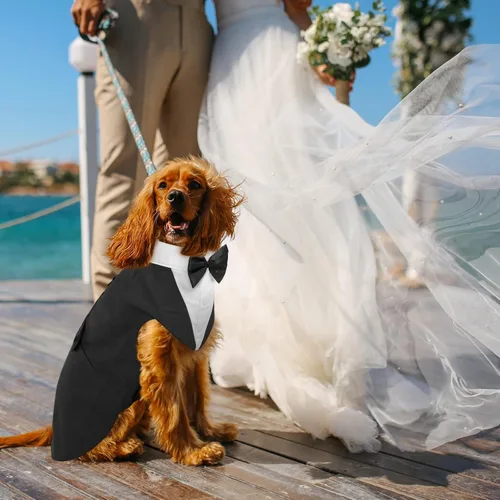 Vista 7 de DORA BRIDAL Esmoquin para perros pequeños, traje de perro y corbatín, traje formal de boda para perros, conjunto de esmoquin y bandana para Negro