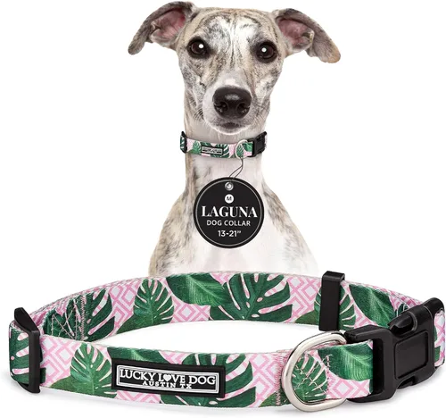 Vista 34 de Lucky Love Dog - Collar para perras pequeñas, diseño Blackbird de estampado alegre con flores de primavera y verano, talla XS Collar Blackbird