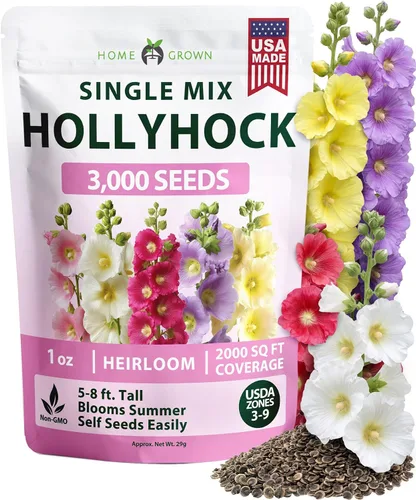 Vista 123 de HOME GROWN Bachelor Button Tall Mix 700+ Semillas de flores Centaurea
