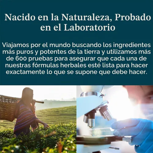 Vista 2 de Nature's Sunshine - Gotas de drenaje linfático con extracto de cuchillas