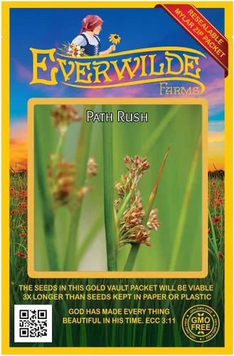 Vista 4 de Everwilde Farms - Semillas de hierba nativa Path Rush de 1 onza - Gold Vault
