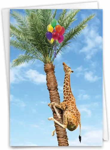 Vista 11 de NobleWorks - 1 divertida tarjeta de cumpleaños de animales con sobre - Bonita tarjeta para cumpleaños - Aquí está mirando el zoológico C6639FBDG-US