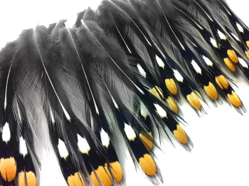 Vista 3 de Moonlight de plumas, plumas sueltas – 10 piezas – Natural plumas de oro Jungle Cock Loose Ojo grande