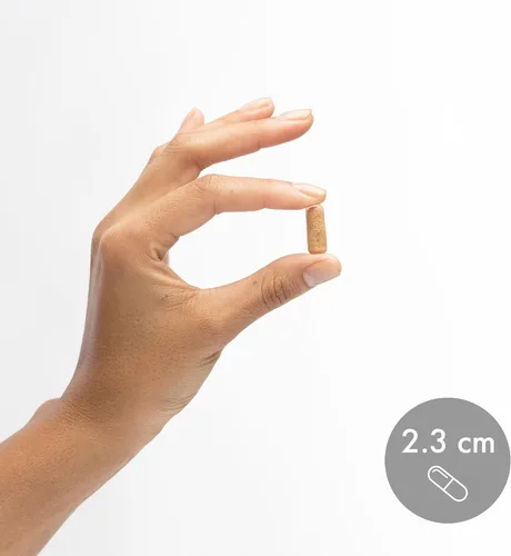 Vista 7 de Dr. Mercola Suplemento dietético NAC con cardo mariano, 30 porciones (60 cápsulas), 500 mg de N-acetil-cisteína por porción, sin OMG, sin gluten