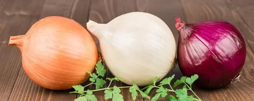 Vista 3 de Semillas de cebolla mezcla vegetal sin OMG para plantar