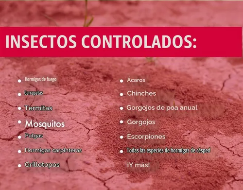 Vista 5 de 7.9% insecticida bifentrina - 32 onzas - (comparado con las marcas líderes) - Control profesional de insectos - mata al contacto - Hormigas