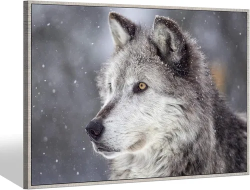 Vista 13 de Sea Whisper - Lienzo de arte de pared de vida silvestre, lobo en la hierba con ojos firmes, naturaleza, bosque, escena de parque, pintura artística