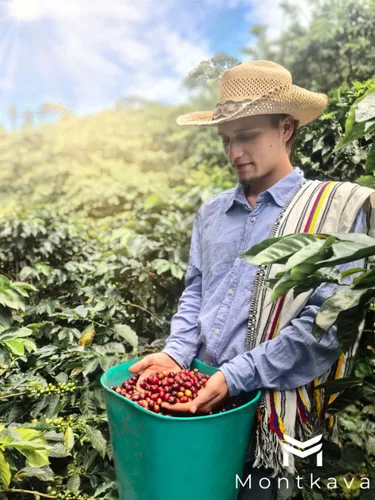 Vista 3 de Montkava Café molido colombiano característico, sabroso, aromático y suave, de origen sostenible y recién tostado, ideal para goteo, prensa francesa