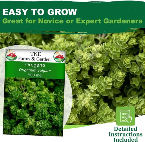 Vista 2 de TKE Farms & Gardens - Semillas de orégano para plantar, más de 3000 semillas de reliquia sin OMG, 500 mg, hierba perenne polinizada abierta