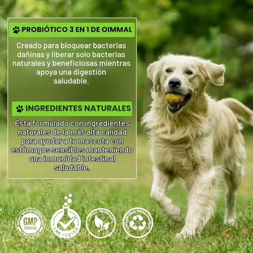 Vista 6 de Probióticos para perros, probióticos 3 en 1 para perros, probióticos para perros para apoyo digestivo, suplementos probióticos para perros