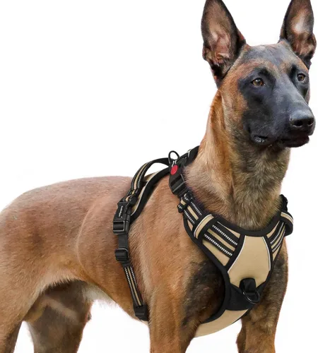 Vista 38 de Rabbitgoo - Arnés para perro de tamaño pequeño, actualizado, fácil de poner y quitar con 3 hebillas Sin tirones, sin estrangulamiento, caminar