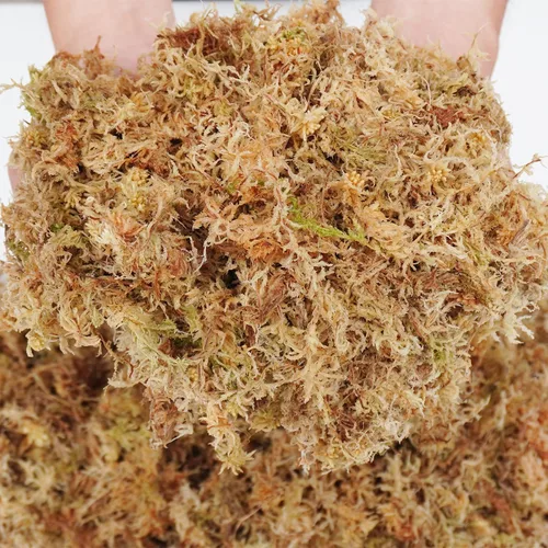 Vista 5 de 5oz de musgo sphagnum para propagación de plantas, excelente mezcla para macetas de orquídeas, ayuda a mantener la humedad