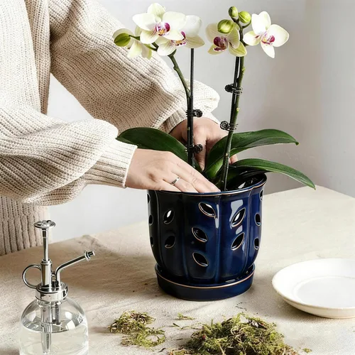Vista 4 de FoldTier Paquete de 2 macetas de cerámica para orquídeas de 6.5 pulgadas