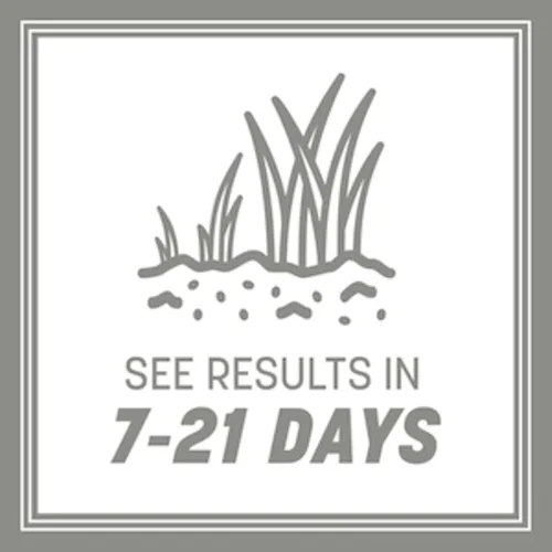 Vista 22 de Pennington Contractors Northern Grass Seed Mix, 40 lb