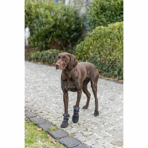 Vista 9 de Zapatos para perros Trixie 19410 Negro