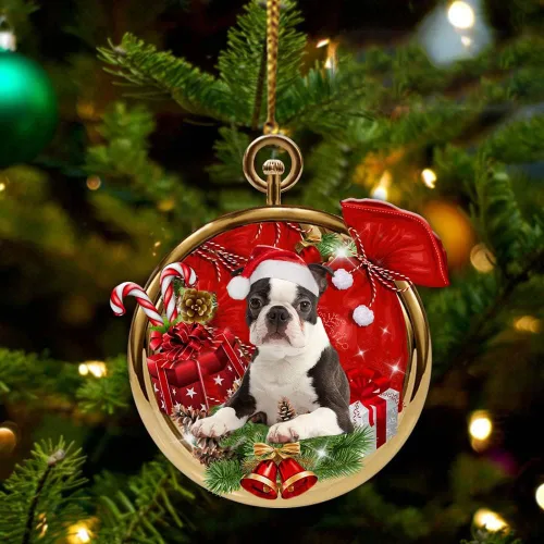 Vista 29 de Nazenti Adorno personalizado de bola de Navidad de pastor australiano – Adorno de perro personalizado para amantes de las mascotas, colgante
