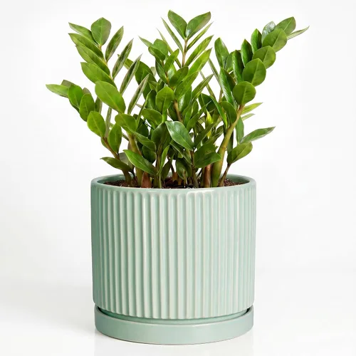 Vista 47 de 8 Inch Flower Pot, Ceramic Planters, Round Plant Pot, Beige