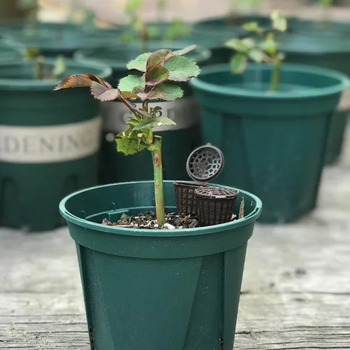 Vista 9 de Happyyami Caja de fertilizante para bonsái con tapa, contenedor de fertilizante para plantas de interior, soporte portátil para bonsái suculentas