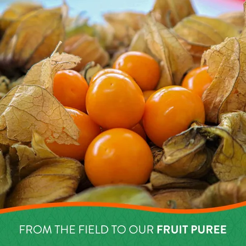 Vista 8 de FRUTA DEL PACÍFICO - Jugo de mora dorada - Jugo de Physalis - Puré de bayas doradas - 100% VERDANA LISTA PARA USAR PARA SUS BEBIDAS - 100% FRUTA