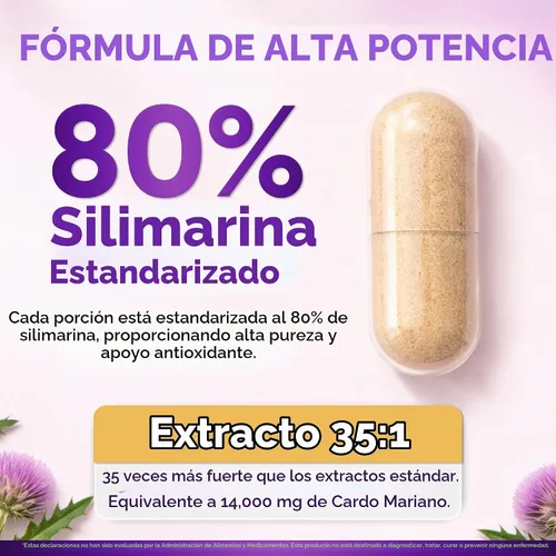 Vista 3 de Cardo mariano orgánico USDA 120ct, extracto 35:1, 80% silimarina