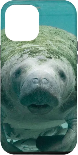 Vista 26 de Manatee Case for iPhone 17