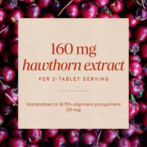 Vista 4 de Nature's Way Extracto de espino para el cuidado del corazón, apoya la función cardíaca saludable*, 120 tabletas