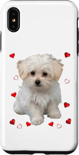 Vista 10 de Funda para iPhone 11 Maltipoo Mix Fans para amantes de los perros maltés