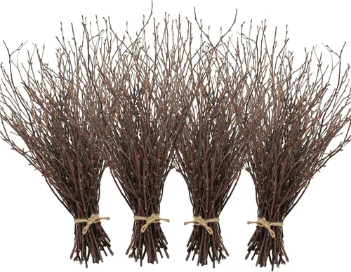 Vista 11 de Uieke 50 ramitas de abedul – Plantas secas naturales de 17 pulgadas, ramas de abedul decorativas para manualidades, palitos de abedul para jarrones