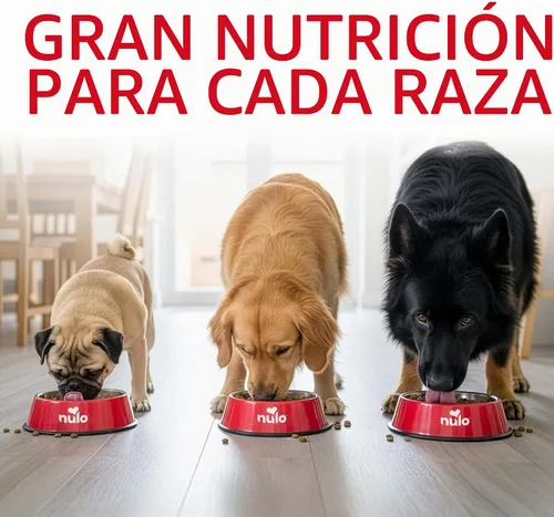 Vista 5 de Nulo Frontrunner Ancient Grains - Alimento para perros con alto contenido de proteínas, receta de carne de res, cebada y cordero, alimento seco