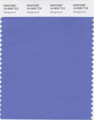 Vista 12 de PANTONE Smart 18-3945X - Tarjeta de muestra de color, color azul amparo