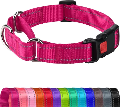 Vista 17 de Joytale Collar Martingale para perros, reflectante resistente para mayor seguridad, hebilla de liberación rápida, collares de nailon ajustables