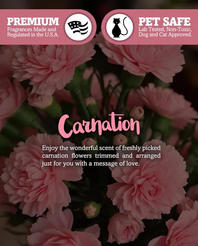 Vista 3 de Shortie's Candle Company Pure Carnation Wax Melts - Paquete múltiple de 2 barras altamente perfumadas, hechas con aceites esenciales y naturales