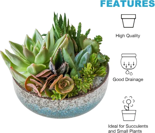 Vista 5 de kilolfy Happy Bonsai Pot - Maceta de cerámica esmaltada de 6.5 pulgadas para suculentas