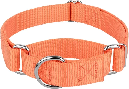 Vista 29 de Country Brook Petz - Collar Martingale para perro - Collar de entrenamiento resistente sin hebilla - Collar para perro de servicio para todas