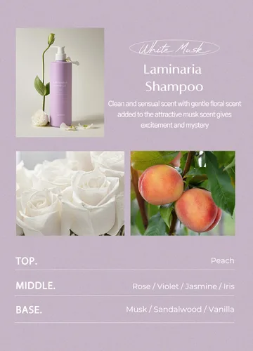 Vista 6 de laferme Laminaria Champú con ingrediente orgánico, champú clarificador coreano, hidratante para cabello seco, fortalecimiento para cabello débil