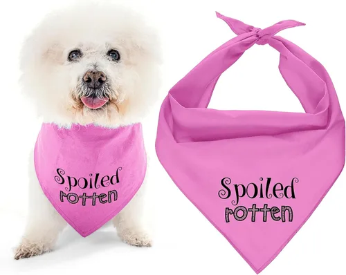 Vista 25 de Parisian Pet Bandanas naranjas para perros – Bandana ajustable para cachorros – Accesorios para perros para niños y niñas – Pañuelo para perros Best