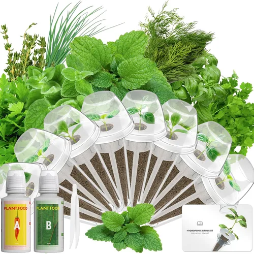 Vista 13 de Hydroponics - Vaina de semillas con albahaca genovesa y albahaca morada, kit completo de 8 cápsulas con esponja, canasta, cúpula, etiqueta