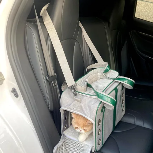 Vista 7 de Lifeand Transportador de gatos para gatos grandes y medianos de menos de 18 libras, plegable y suave, transportador para perros, aprobado por