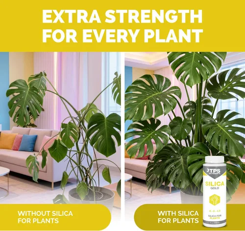 Vista 3 de TPS NUTRIENTS Silica Gold Nutriente y Suplemento para Fuerza de Plantas con Silicio Biodisponible 8 oz (250mL) Bioavailable Silicon, Strengthens